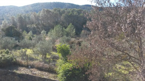 20 Octobre 2018 DES NOUVELLES DE L’ÉCO HAMEAU DE SÔLLEI’O