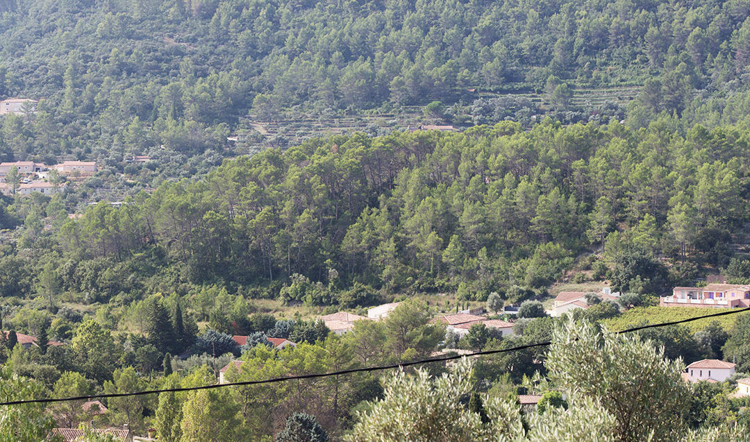 3 novembre 2017 WORKSHOP PROJET HABITAT À SÔLLEI’O