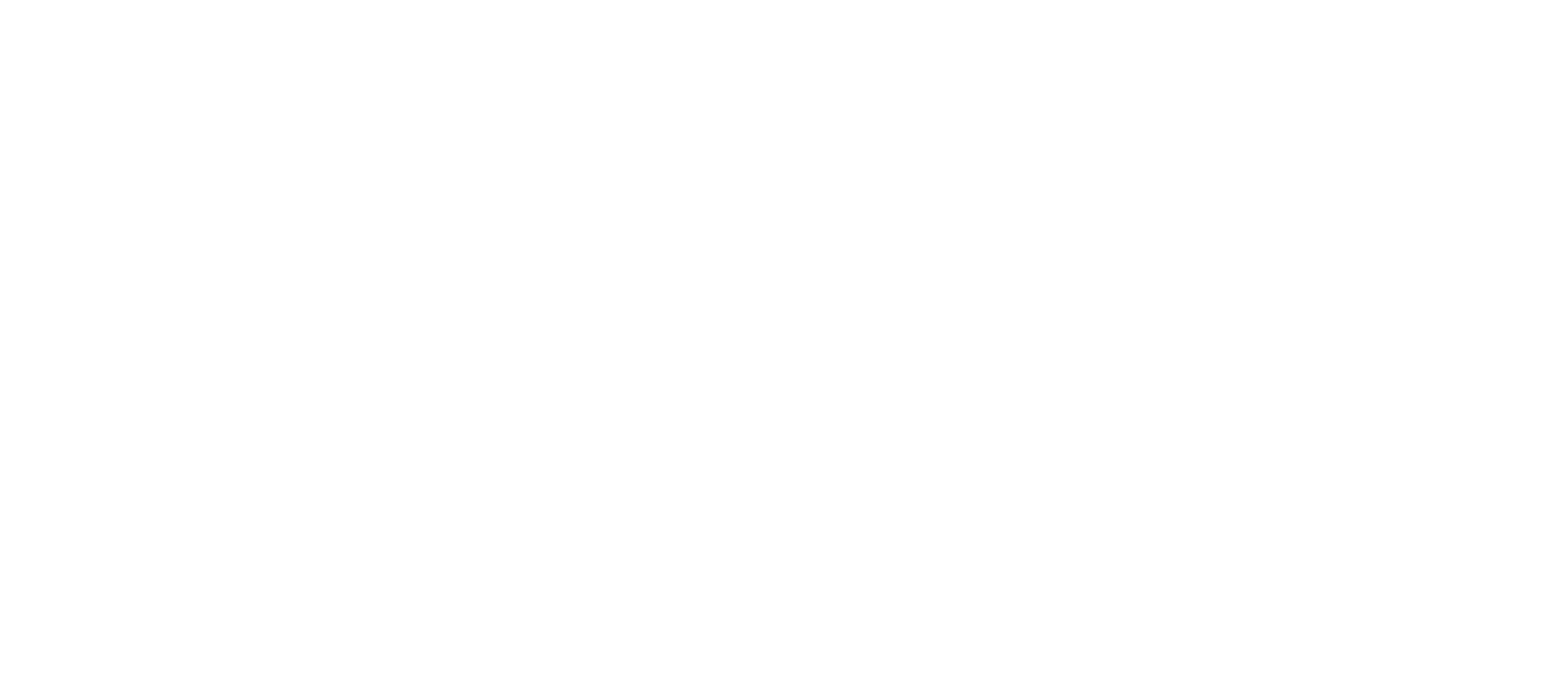 logo-Solleio-blanc