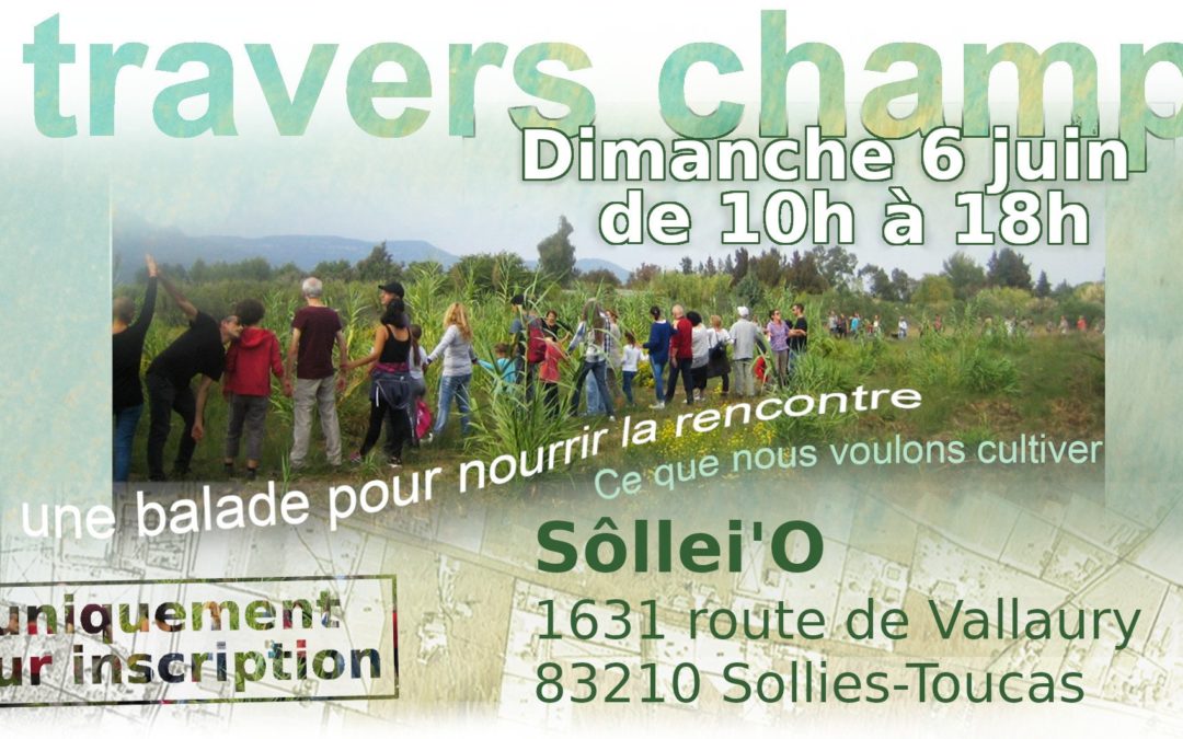 Dimanche 6 juin 2021 : à travers champs